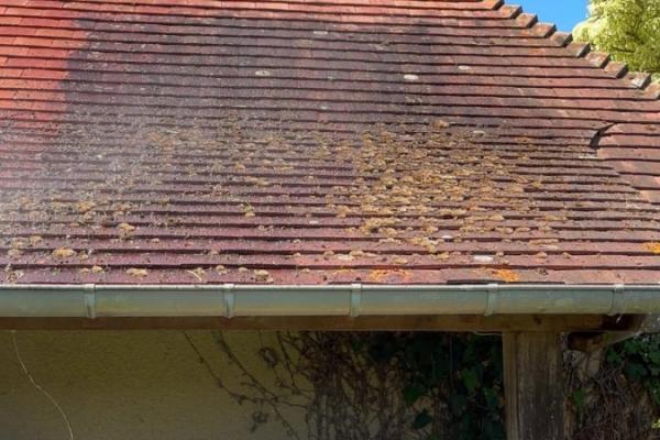Rénovation et nettoyage d'un toit d'une dépendance sur la commune de Tourgéville