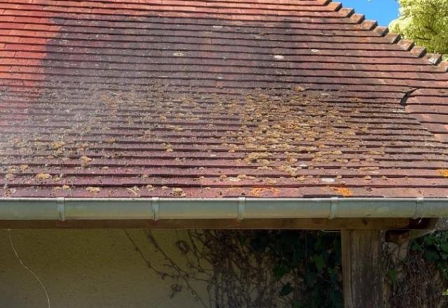 Rénovation et nettoyage d'un toit d'une dépendance sur la commune de Tourgéville